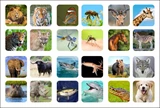 2x2x2 Animal Stickers Set (for cube 50x50x50mm)