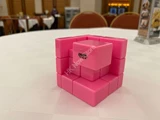 Gray Mirror Illusion Inside II (Pink Body) in Small Clear Box