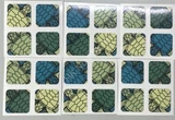 2x2 Turtle stickers (for cube 50x50x50mm)
