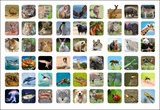 3x3x3 Animal Stickers Set (for cube 56x56x56mm)