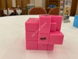Gray Mirror Illusion Siamese II (Pink Body) in Small Clear Box
