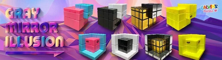 新しいの到着 | - Calvin's Puzzle, V-Cube, Meffert's Puzzle 